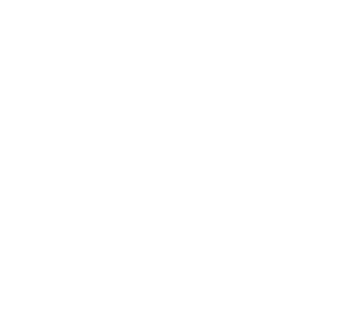 BMTrada_Logo White 2